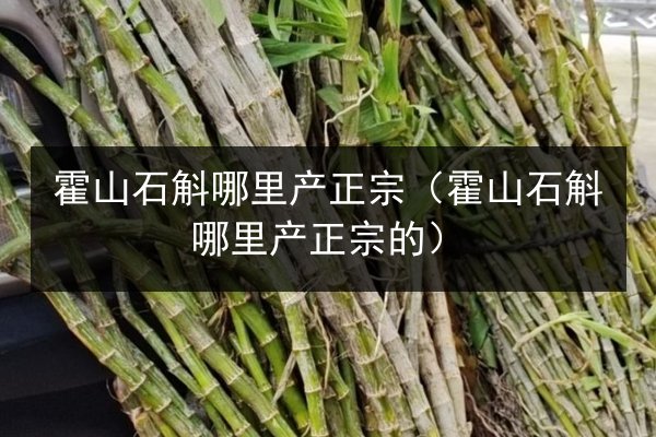 霍山石斛哪里产正宗(霍山石斛哪里产正宗的)