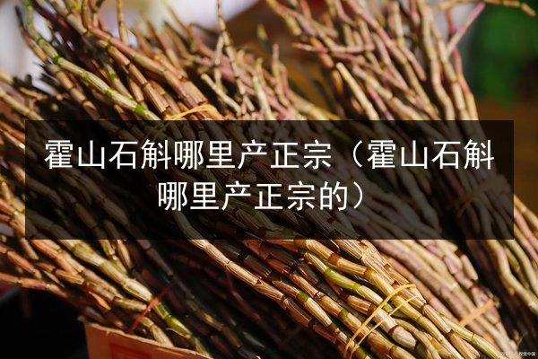霍山石斛哪里产正宗(霍山石斛哪里产正宗的)