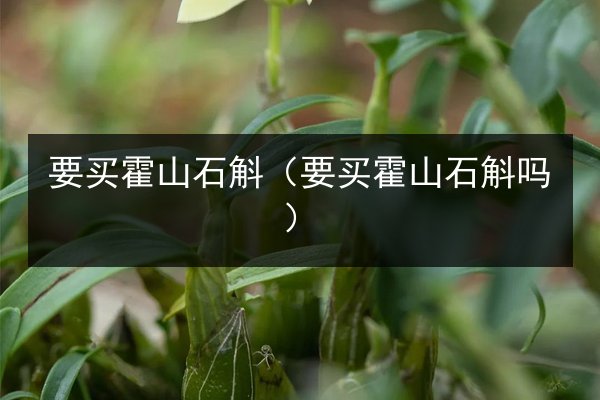 要买霍山石斛(要买霍山石斛吗)