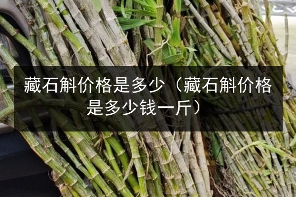藏石斛价格是多少（藏石斛价格是多少钱一斤）