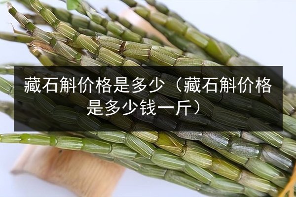 藏石斛价格是多少（藏石斛价格是多少钱一斤）