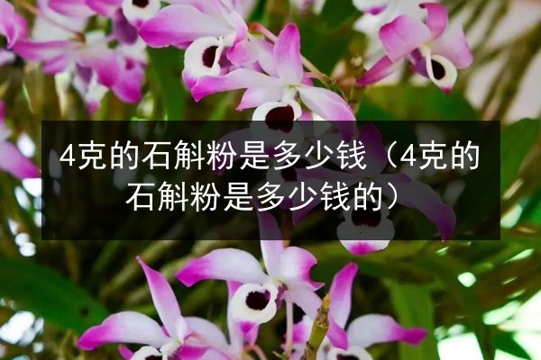 4克的石斛粉是多少钱(4克的石斛粉是多少钱的)