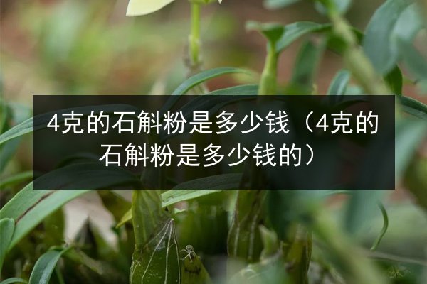 4克的石斛粉是多少钱(4克的石斛粉是多少钱的)