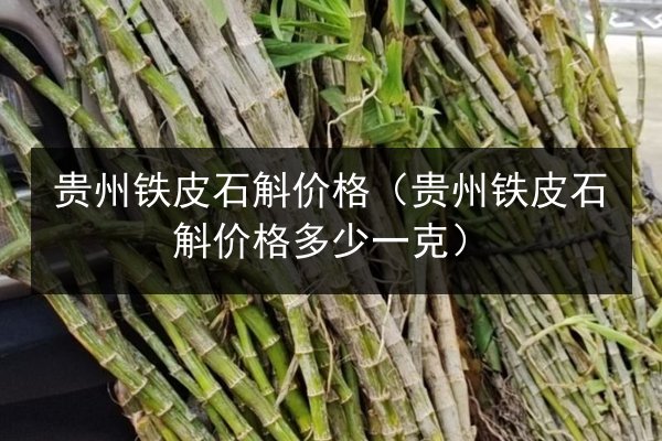 贵州铁皮石斛价格(贵州铁皮石斛价格多少一克)