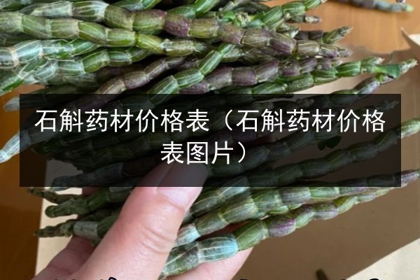 石斛药材价格表(石斛药材价格表图片)