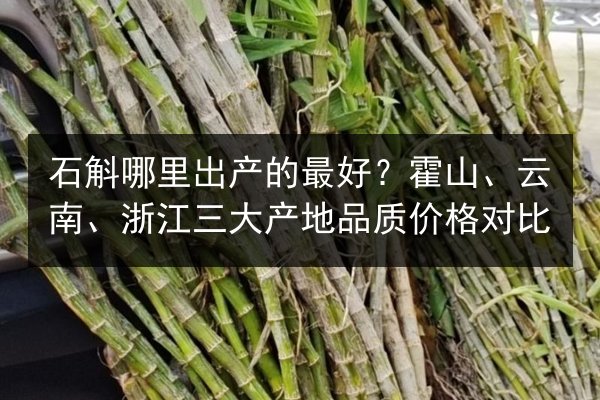 石斛哪里出产的最好?霍山、云南、浙江三大产地品质价格对比