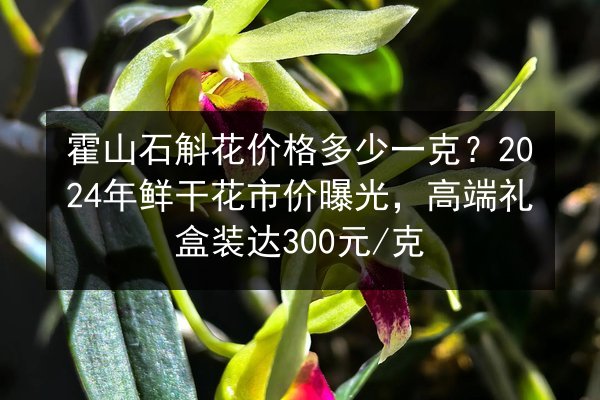 霍山石斛花价格多少一克?2024年鲜干花市价曝光,高端礼盒装达300元/克