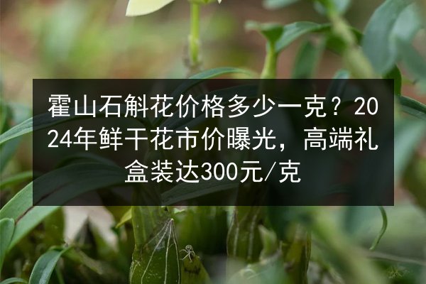 霍山石斛花价格多少一克?2024年鲜干花市价曝光,高端礼盒装达300元/克