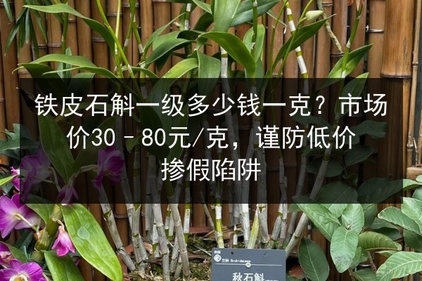 铁皮石斛一级多少钱一克?市场价30–80元/克,谨防低价掺假陷阱