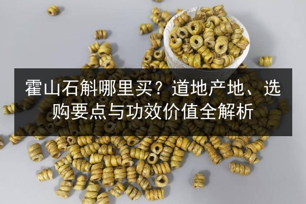 霍山石斛哪里买?道地产地、选购要点与功效价值全解析