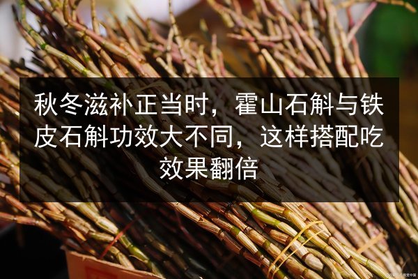 秋冬滋补正当时，霍山石斛与铁皮石斛功效大不同，这样搭配吃效果翻倍