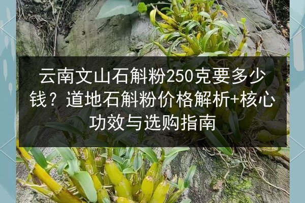 云南文山石斛粉250克要多少钱？道地石斛粉价格解析+核心功效与选购指南