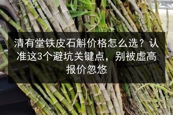 清有堂铁皮石斛价格怎么选?认准这3个避坑关键点,别被虚高报价忽悠