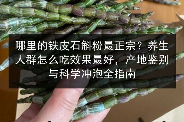 哪里的铁皮石斛粉最正宗？养生人群怎么吃效果最好，产地鉴别与科学冲泡全指南