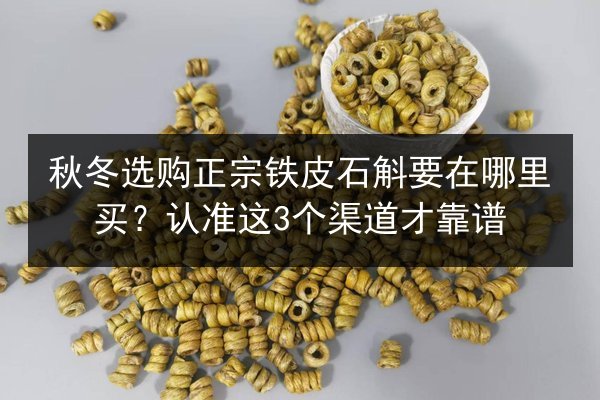 秋冬选购正宗铁皮石斛要在哪里买?认准这3个渠道才靠谱