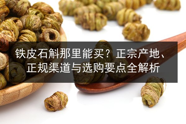 铁皮石斛那里能买？正宗产地、正规渠道与选购要点全解析