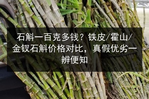石斛一百克多钱?铁皮/霍山/金钗石斛价格对比,真假优劣一辨便知