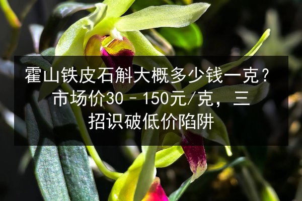 霍山铁皮石斛大概多少钱一克？市场价30–150元/克，三招识破低价陷阱