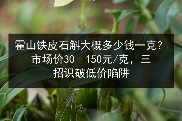 霍山铁皮石斛大概多少钱一克？市场价30–150元/克，三招识破低价陷阱