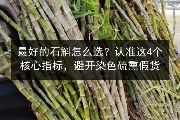 最好的石斛怎么选?认准这4个核心指标,避开染色硫熏假货