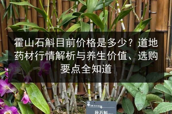 霍山石斛目前价格是多少？道地药材行情解析与养生价值、选购要点全知道