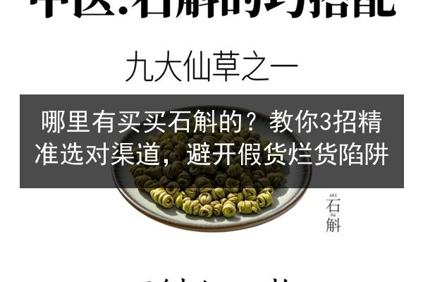哪里有买买石斛的?教你3招精准选对渠道,避开假货烂货陷阱