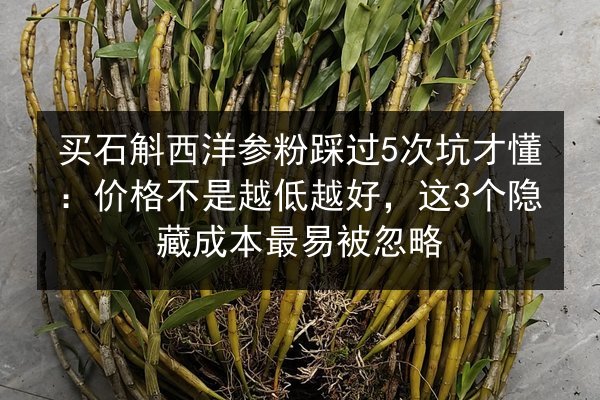 买石斛西洋参粉踩过5次坑才懂：价格不是越低越好，这3个隐藏成本最易被忽略