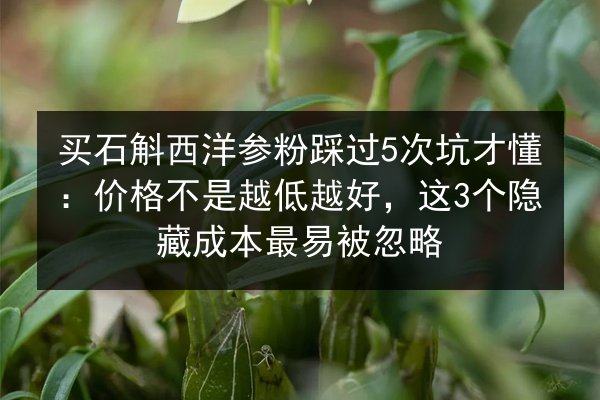 买石斛西洋参粉踩过5次坑才懂：价格不是越低越好，这3个隐藏成本最易被忽略