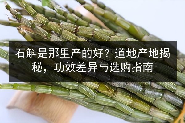 石斛是那里产的好?道地产地揭秘,功效差异与选购指南