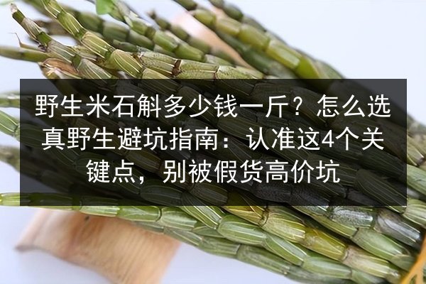 野生米石斛多少钱一斤？怎么选真野生避坑指南：认准这4个关键点，别被假货高价坑