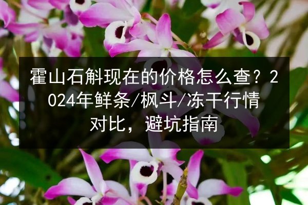 霍山石斛现在的价格怎么查?2024年鲜条/枫斗/冻干行情对比,避坑指南