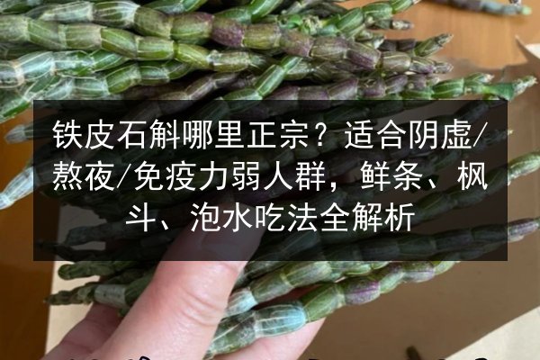 铁皮石斛哪里正宗？适合阴虚/熬夜/免疫力弱人群，鲜条、枫斗、泡水吃法全解析