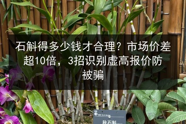 石斛得多少钱才合理?市场价差超10倍,3招识别虚高报价防被骗