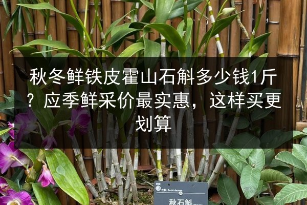 秋冬鲜铁皮霍山石斛多少钱1斤？应季鲜采价最实惠，这样买更划算