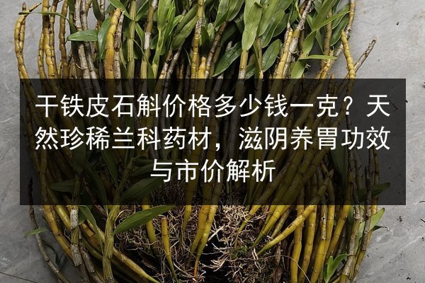 干铁皮石斛价格多少钱一克?天然珍稀兰科药材,滋阴养胃功效与市价解析