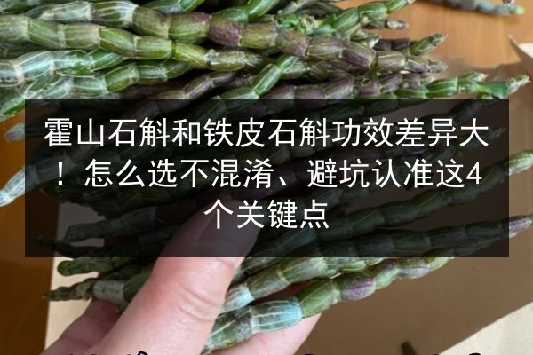 霍山石斛和铁皮石斛功效差异大!怎么选不混淆、避坑认准这4个关键点