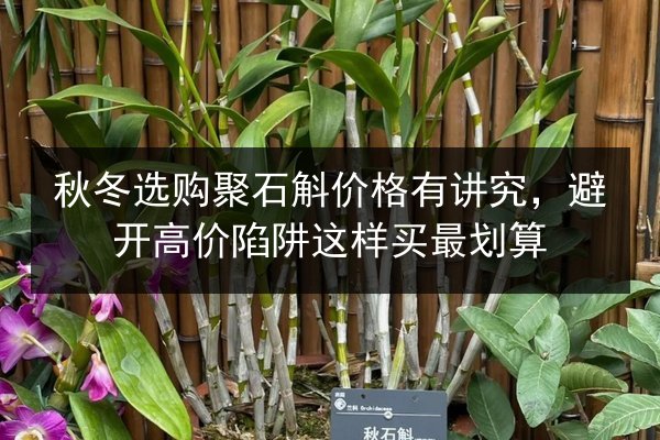 秋冬选购聚石斛价格有讲究,避开高价陷阱这样买最划算