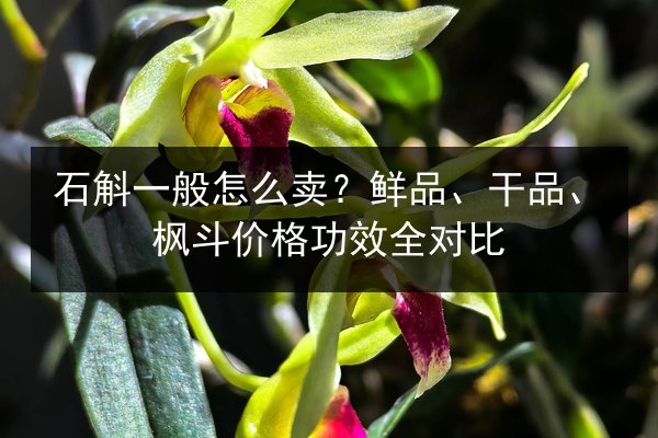 石斛一般怎么卖?鲜品、干品、枫斗价格功效全对比