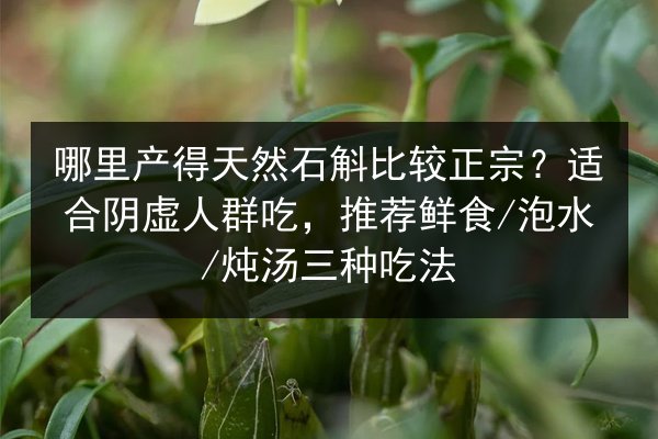 哪里产得天然石斛比较正宗?适合阴虚人群吃,推荐鲜食/泡水/炖汤三种吃法