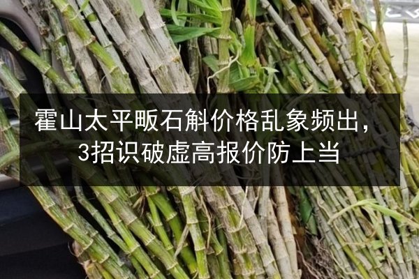 霍山太平畈石斛价格乱象频出,3招识破虚高报价防上当