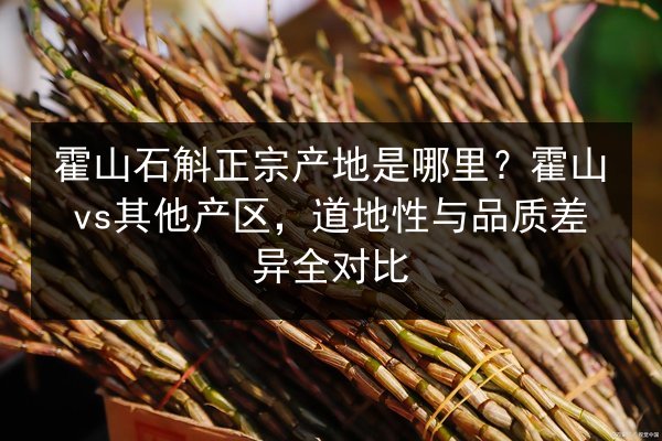 霍山石斛正宗产地是哪里?霍山vs其他产区,道地性与品质差异全对比