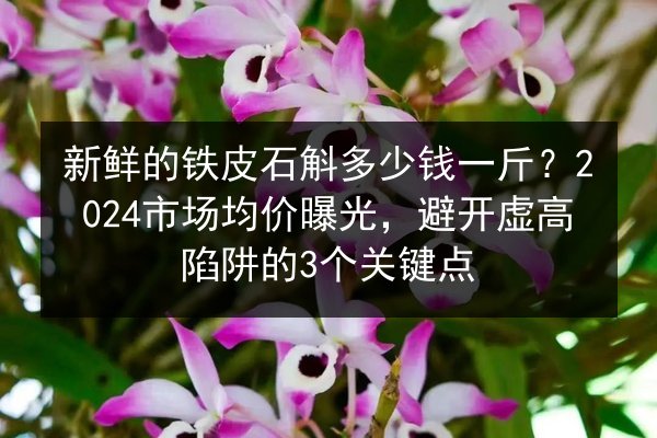 新鲜的铁皮石斛多少钱一斤?2024市场均价曝光,避开虚高陷阱的3个关键点