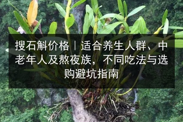 搜石斛价格|适合养生人群、中老年人及熬夜族,不同吃法与选购避坑指南