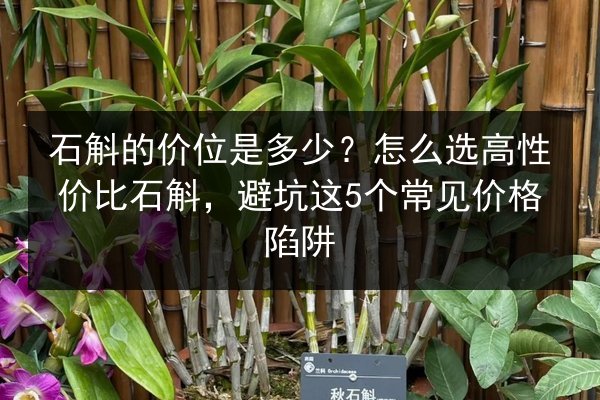 石斛的价位是多少?怎么选高性价比石斛,避坑这5个常见价格陷阱