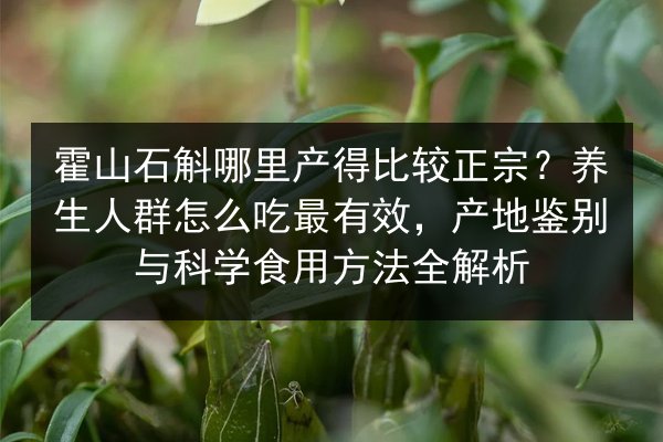 霍山石斛哪里产得比较正宗?养生人群怎么吃最有效,产地鉴别与科学食用方法全解析