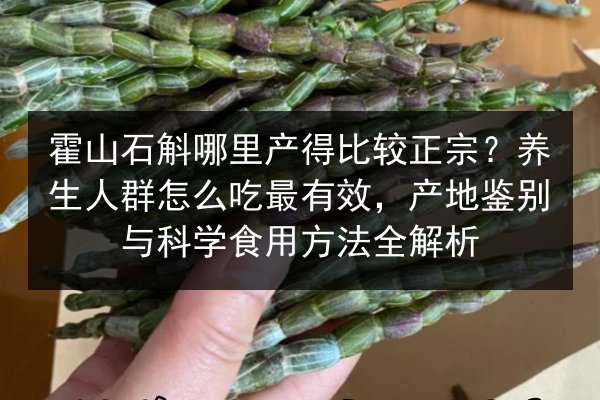 霍山石斛哪里产得比较正宗?养生人群怎么吃最有效,产地鉴别与科学食用方法全解析