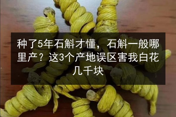 种了5年石斛才懂，石斛一般哪里产？这3个产地误区害我白花几千块
