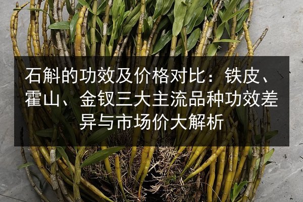 石斛的功效及价格对比:铁皮、霍山、金钗三大主流品种功效差异与市场价大解析