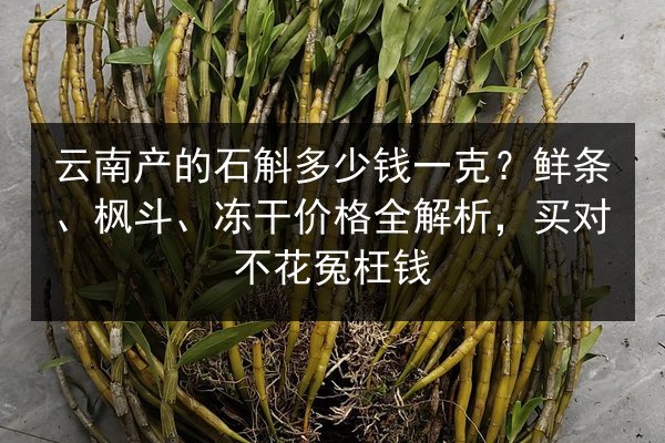 云南产的石斛多少钱一克?鲜条、枫斗、冻干价格全解析,买对不花冤枉钱