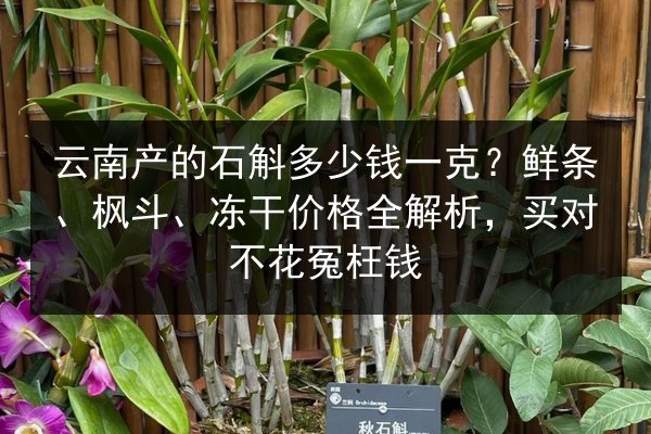 云南产的石斛多少钱一克?鲜条、枫斗、冻干价格全解析,买对不花冤枉钱